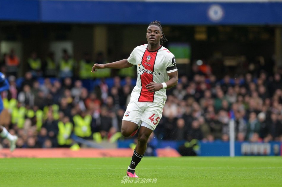 疑问成为媒 疑问成为媒