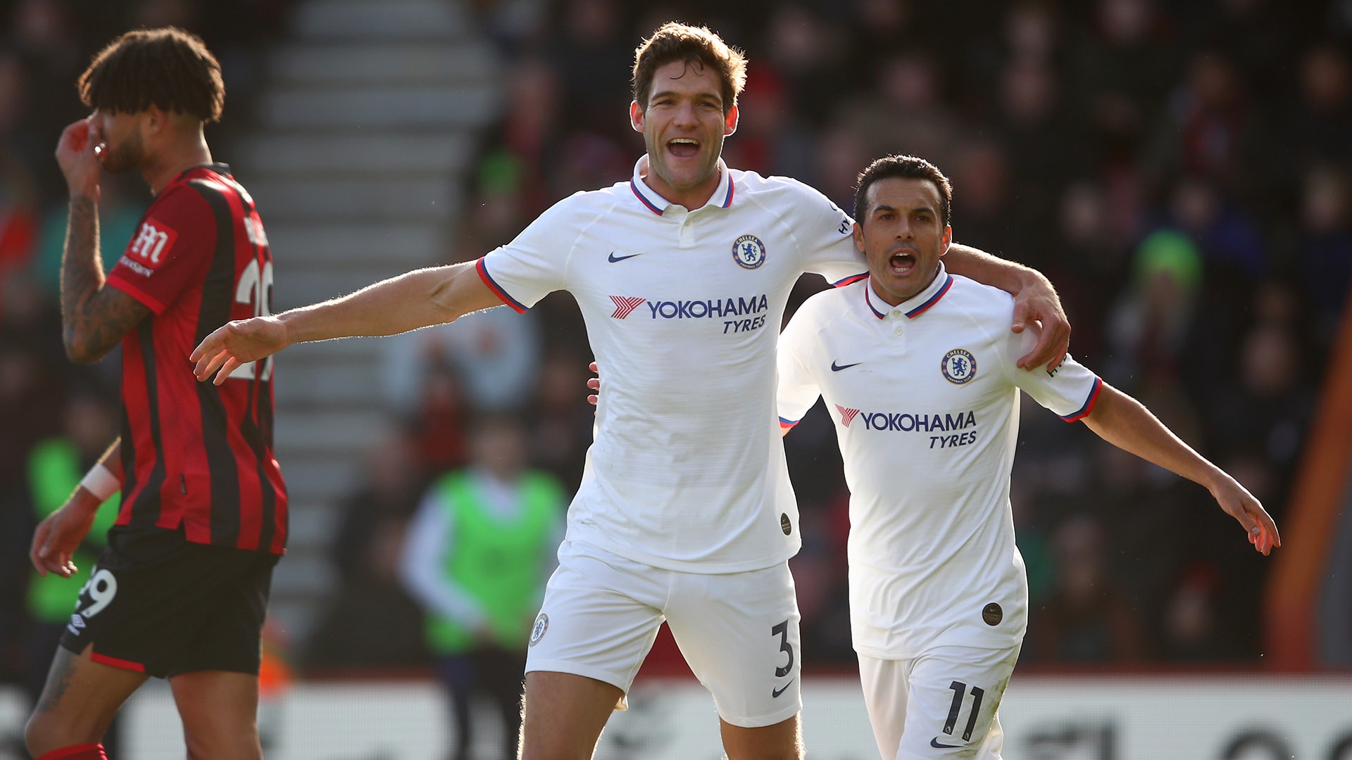 他们会全力 他们会全力