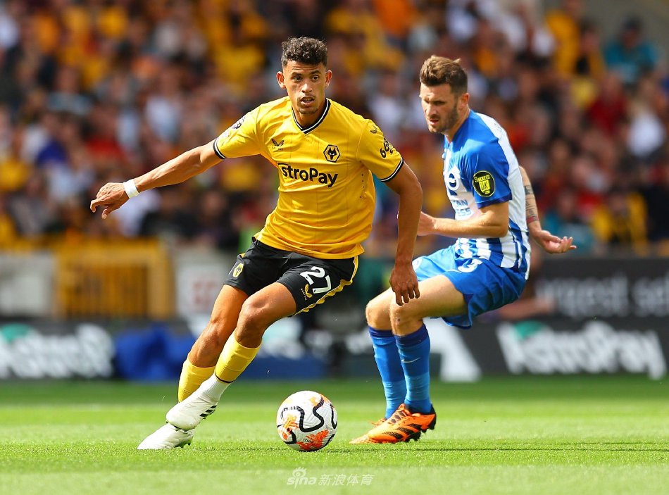 道出了他们 道出了他们